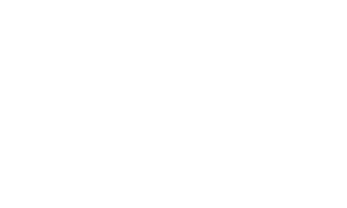 Spinning Fox logo