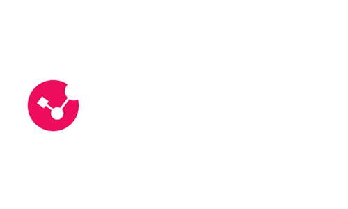 Check Point logo